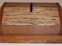 Spalted1